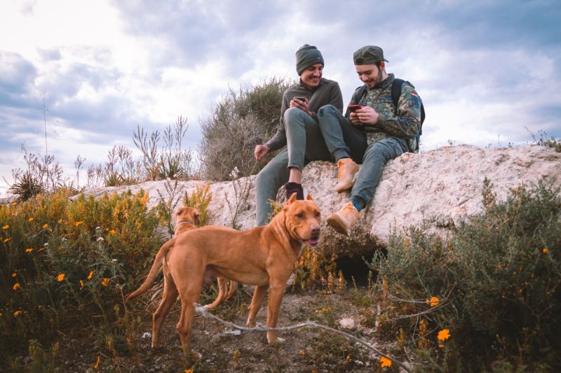 zwei Jungs und ein Hund in der Natur